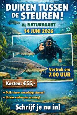 whatsapp-image-2026-03-14-at-18-44-31